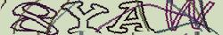 Retype the CAPTCHA code from the image